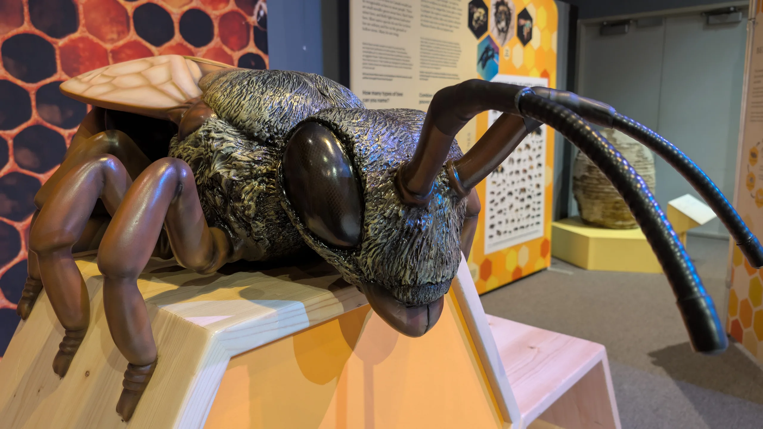 Exposition Abeilles au Musée Minéro