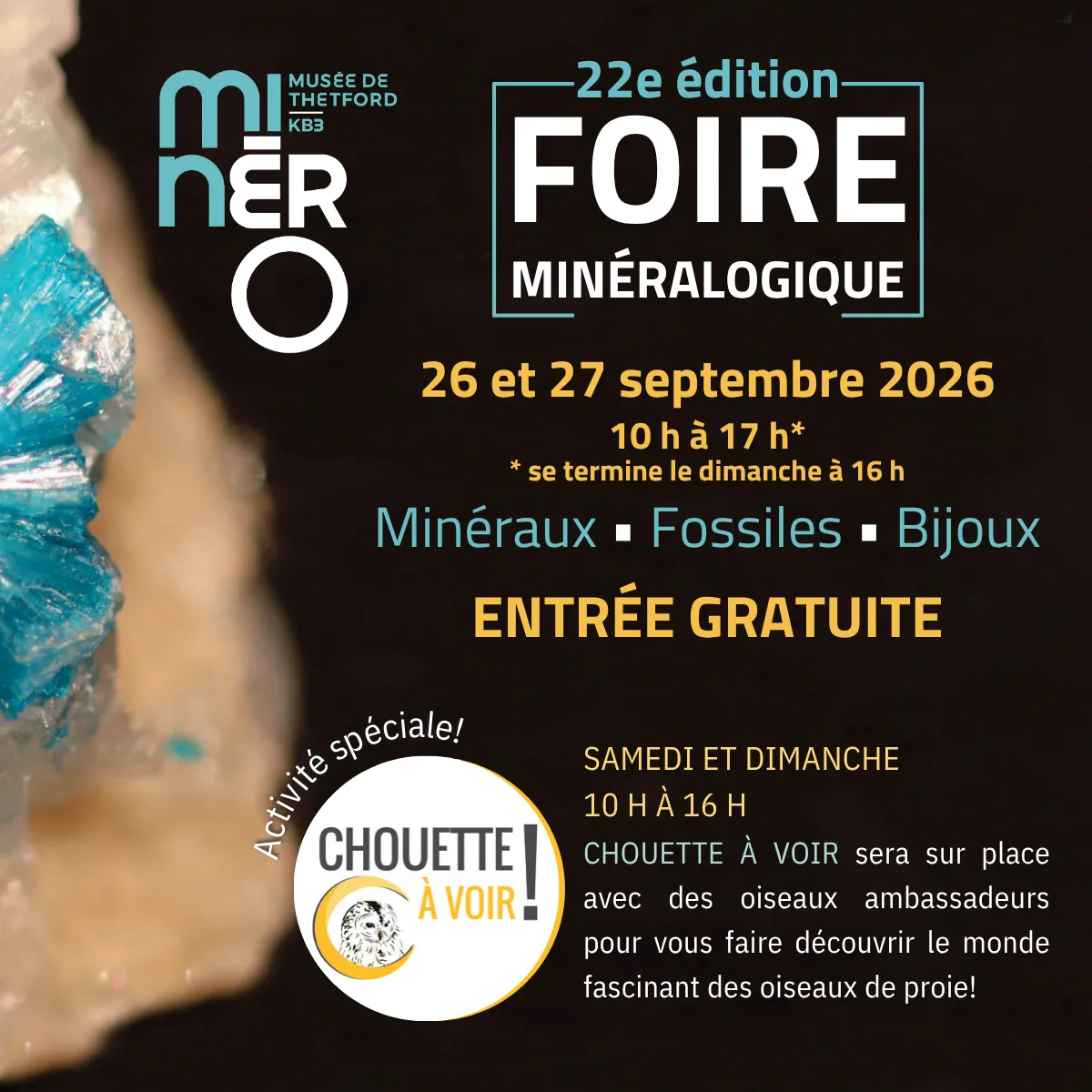 Foire minéralogique au Musée Minéro de Thetford Mines